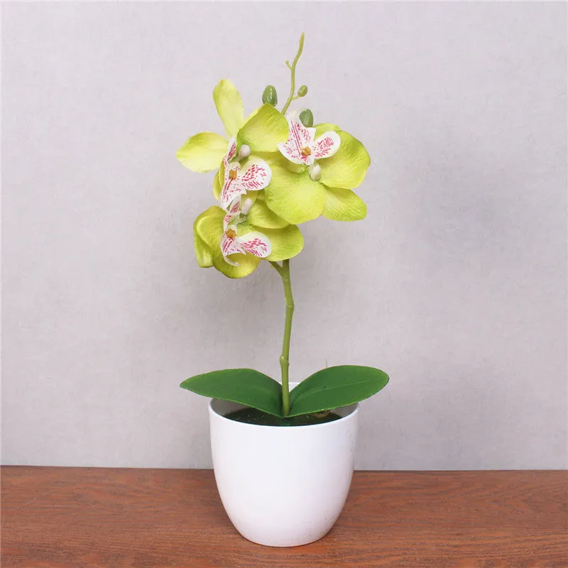 Artificial Phalaenopsis with Foam Leaf and Plastic Vase