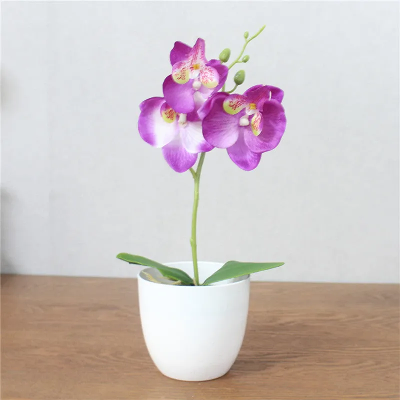 Artificial Phalaenopsis with Foam Leaf and Plastic Vase