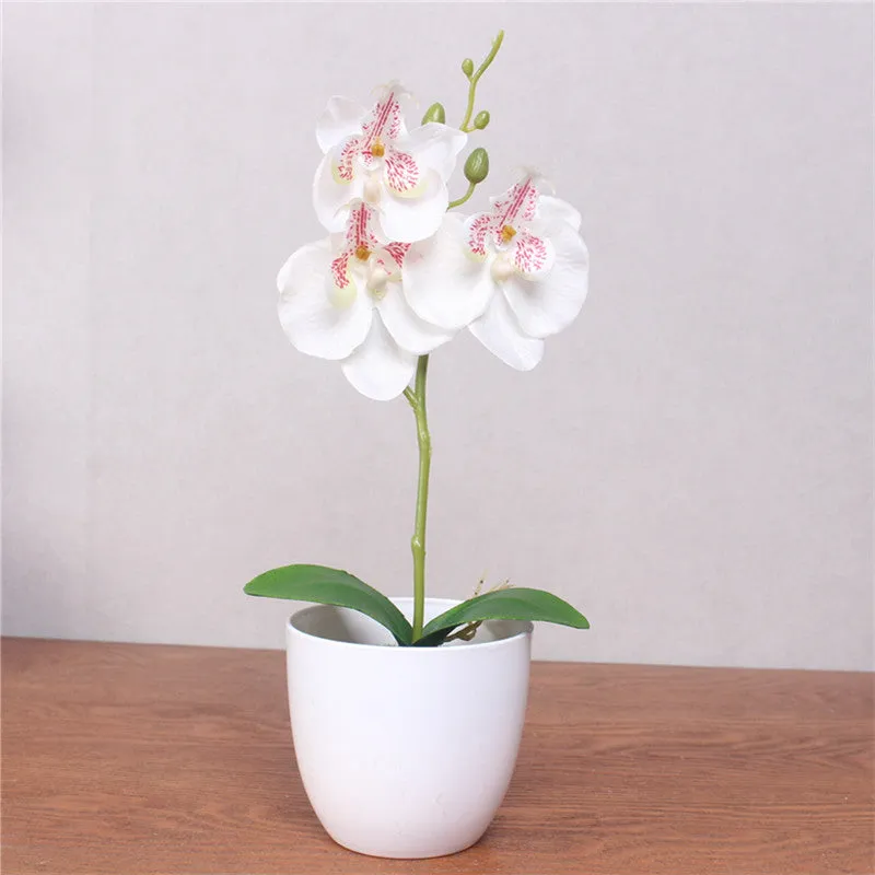 Artificial Phalaenopsis with Foam Leaf and Plastic Vase