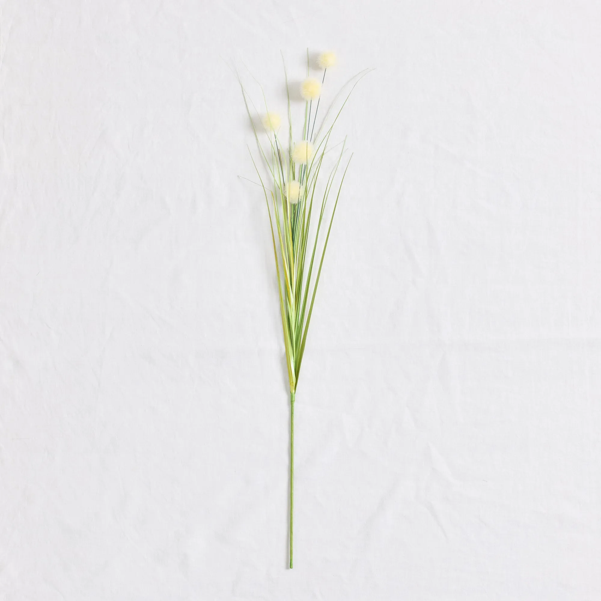 Ball Grass Stem - Cream