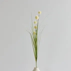 Ball Grass Stem - Cream