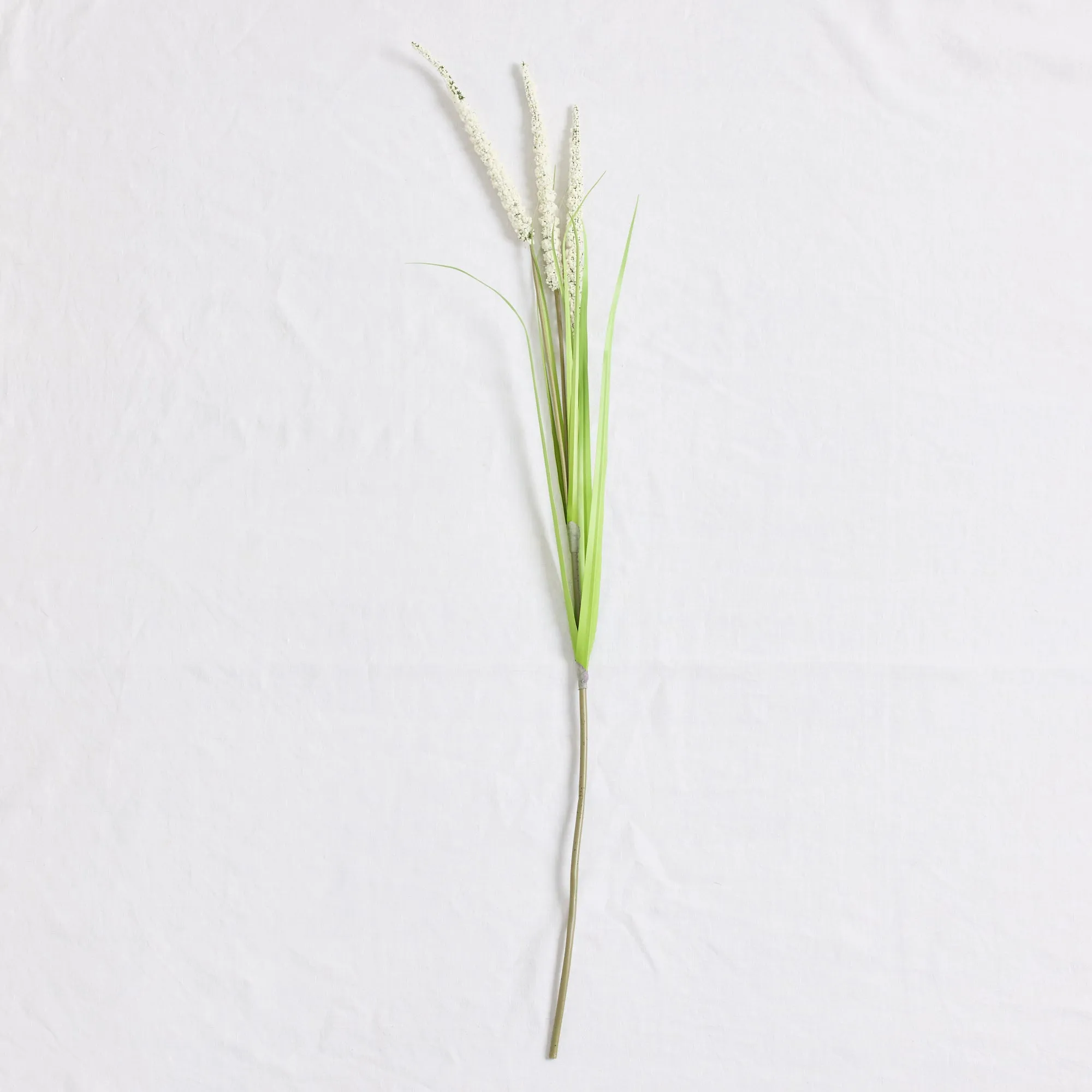 Cat Tail Grass Stem - White