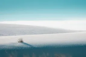 Dunescape