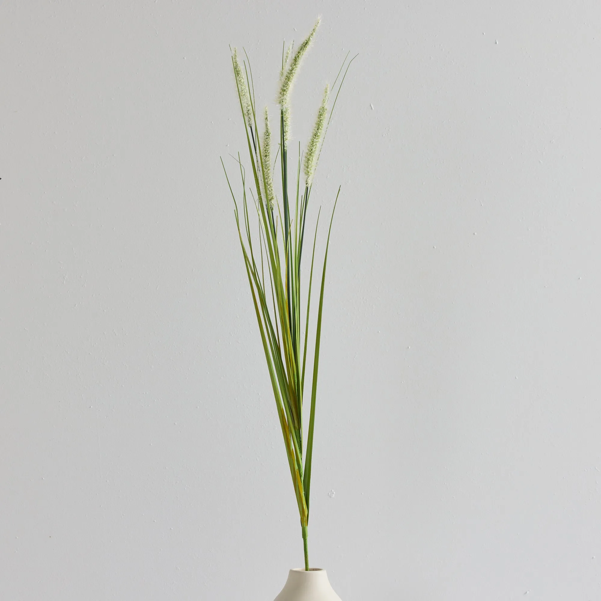 Fountain Grass Stem - White