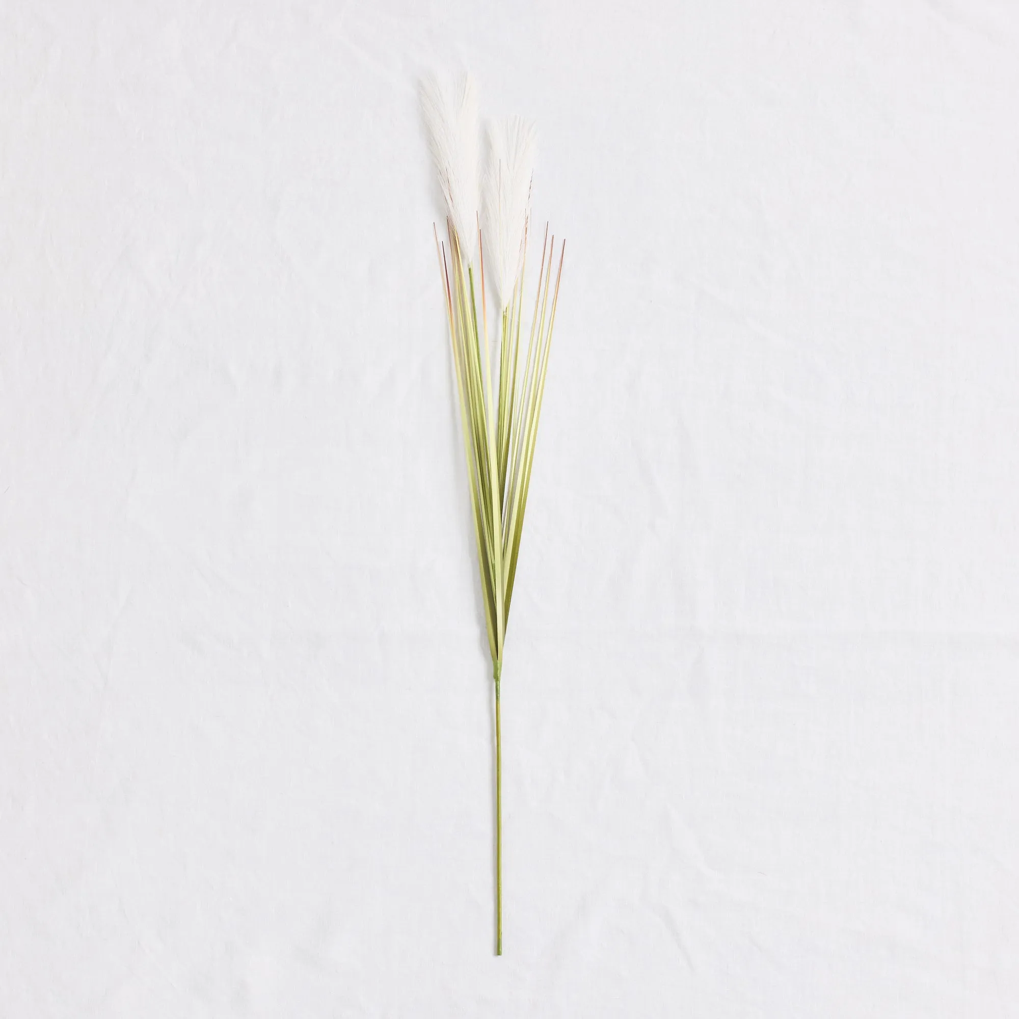 Marram Grass Stem - White